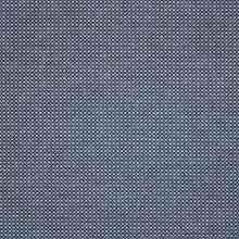 Load image into Gallery viewer, Swatch Sun Arica