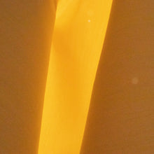 Load image into Gallery viewer, Sun Heathered Canvas