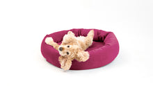 Load image into Gallery viewer, Royal Pet Bed