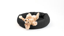 Load image into Gallery viewer, Royal Pet Bed