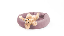Load image into Gallery viewer, Royal Pet Bed