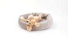 Load image into Gallery viewer, Royal Pet Bed
