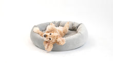 Load image into Gallery viewer, Royal Pet Bed