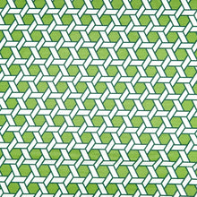 Load image into Gallery viewer, Swatch Shoji