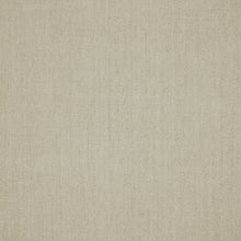 Load image into Gallery viewer, Sun Heathered Canvas