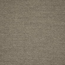 Load image into Gallery viewer, Sun Heathered Canvas