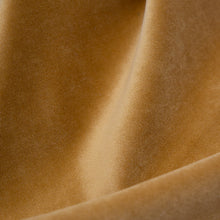 Load image into Gallery viewer, Swatch Sorrento - Performance Faux-Mohair Velvet
