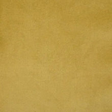 Load image into Gallery viewer, Joya - Performance Velvet
