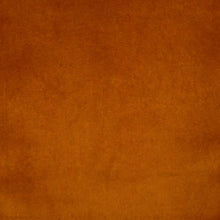 Load image into Gallery viewer, Joya - Performance Velvet