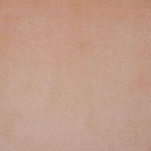 Load image into Gallery viewer, Joya - Performance Velvet