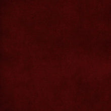 Load image into Gallery viewer, Joya - Performance Velvet