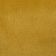 Load image into Gallery viewer, Royale - Performance Velvet