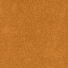 Load image into Gallery viewer, Swatch Vista