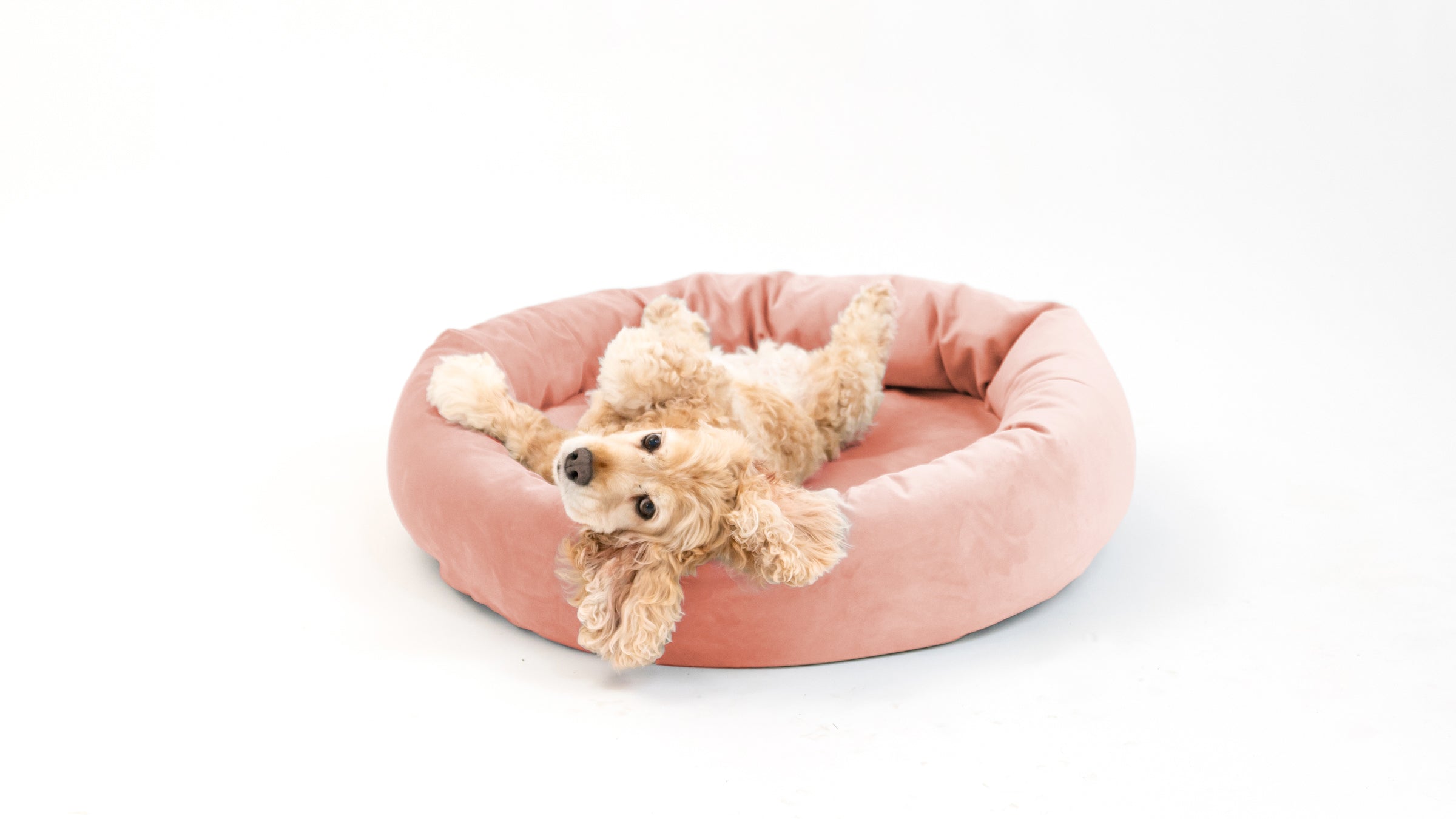 Royal Pet Bed