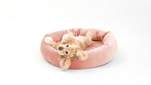 Load image into Gallery viewer, Royal Pet Bed
