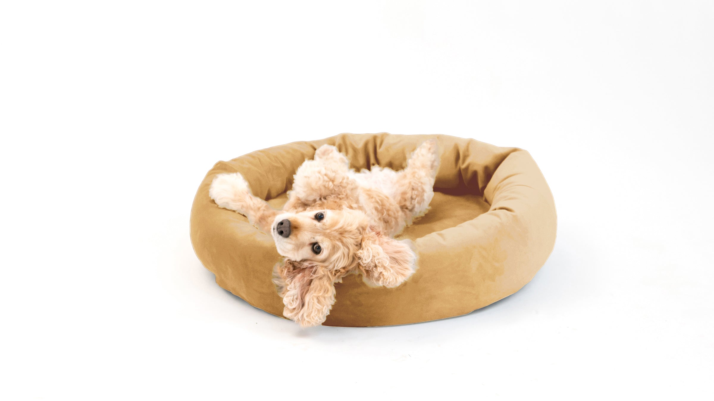 Royal Pet Bed