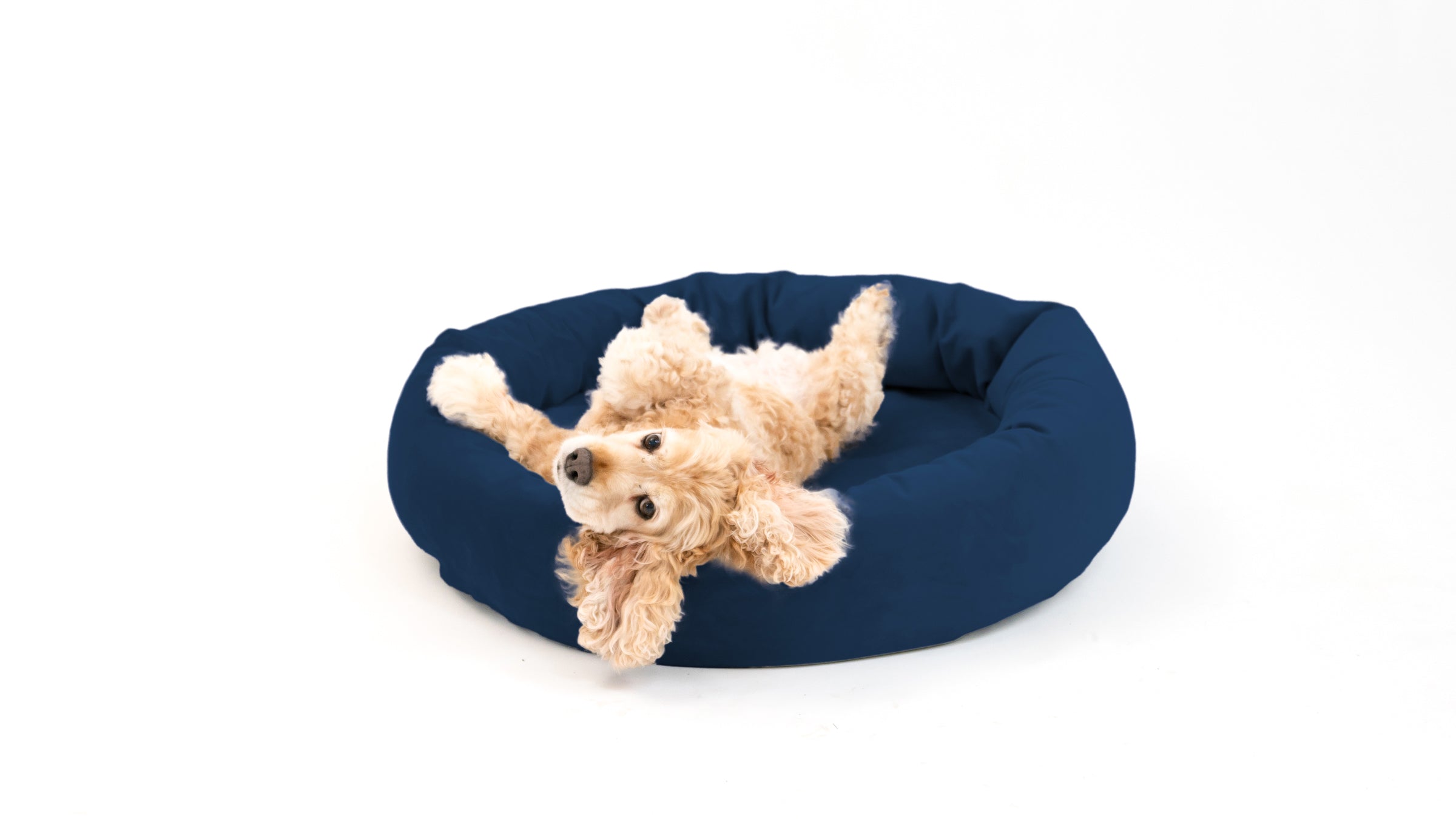 Royal Pet Bed
