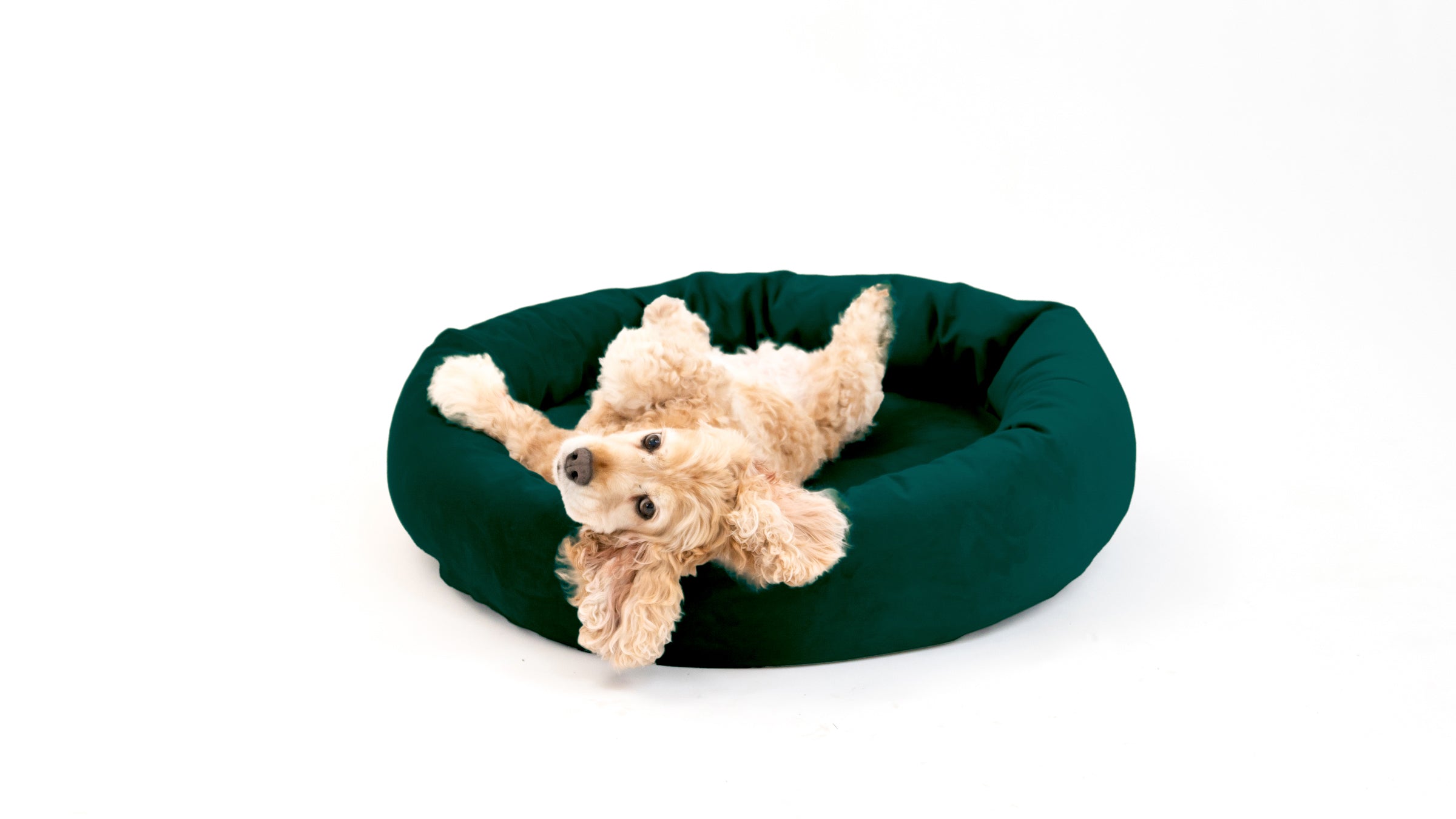 Royal Pet Bed