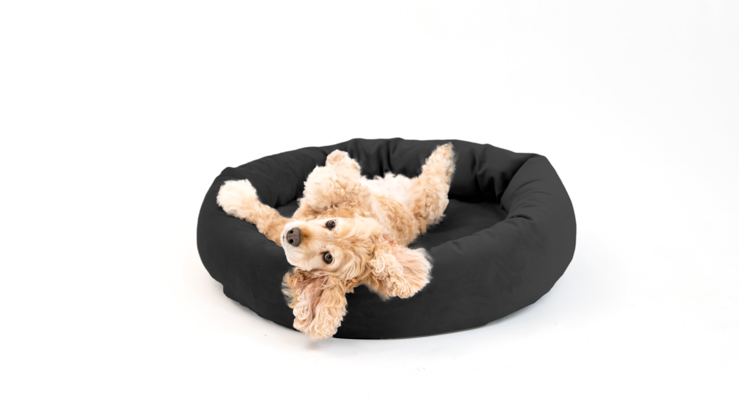 Royal Pet Bed