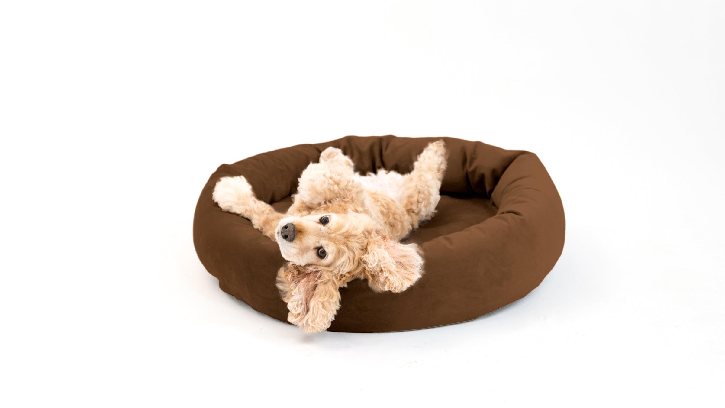 Royal Pet Bed