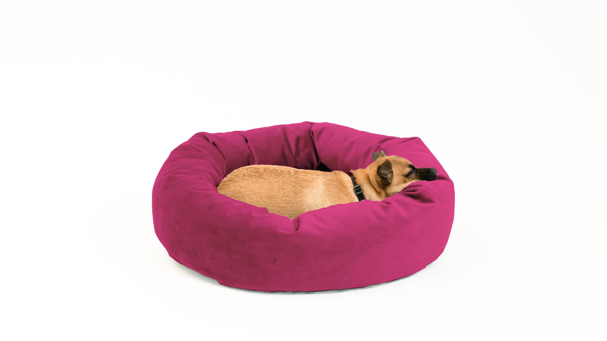 Royal Pet Bed - Main Image