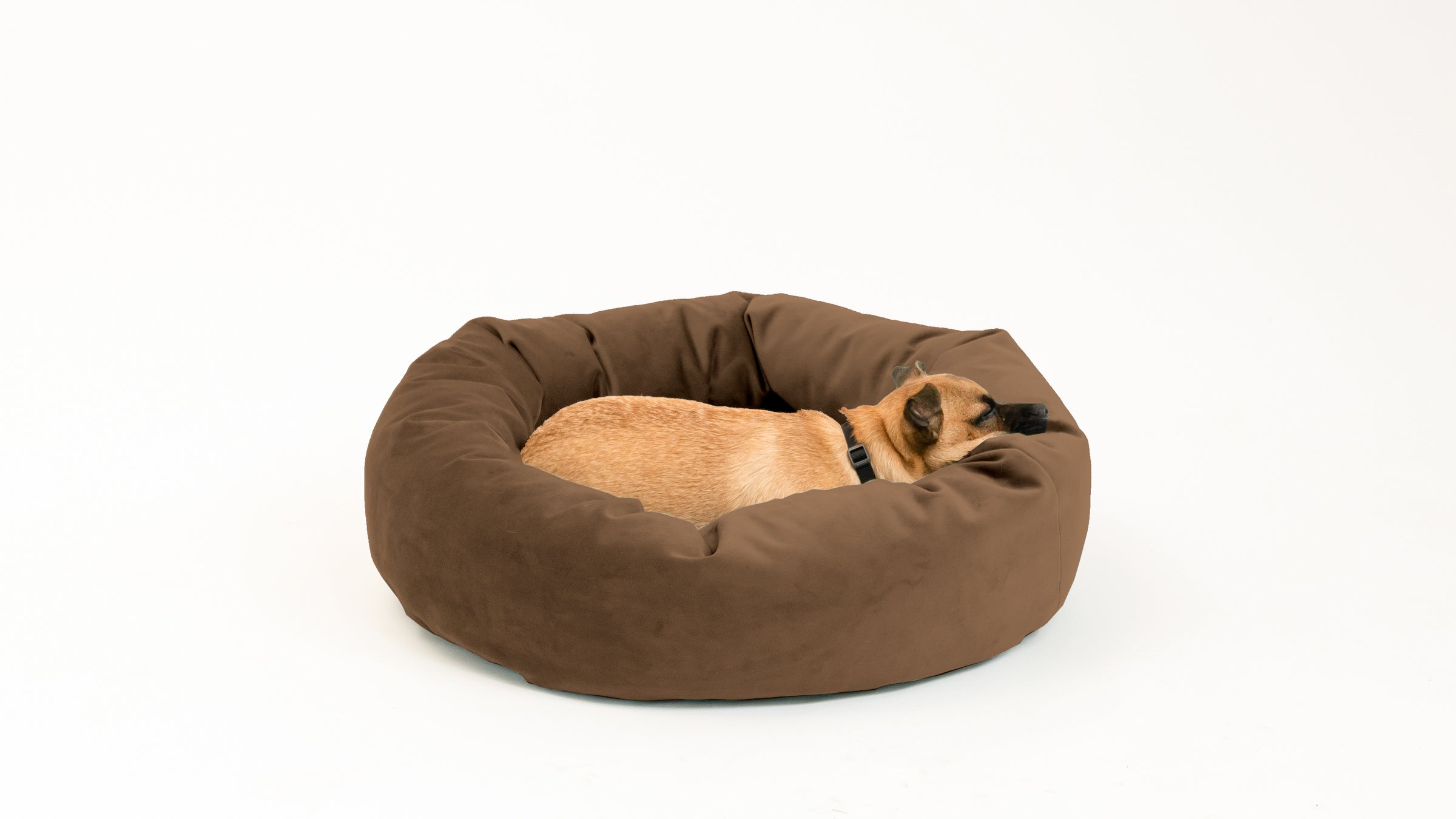 Royal Pet Bed