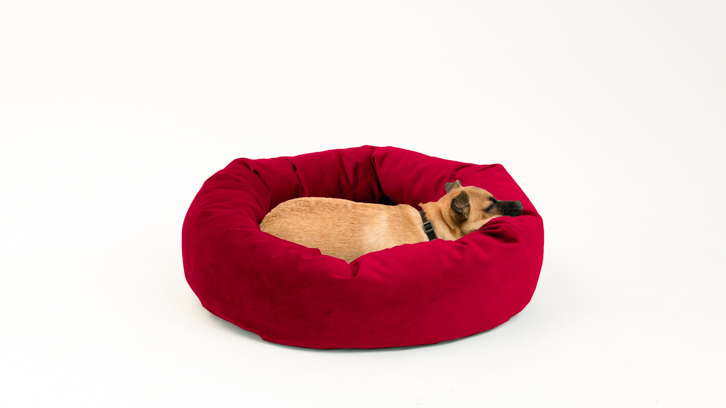 Royal Pet Bed
