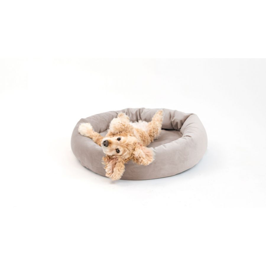 Royal Pet Bed